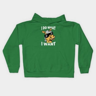 I do what I want horse Kids Hoodie